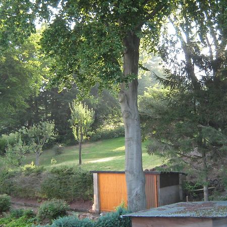 Ferienwohnung Sauerland Panorama Корбах Экстерьер фото